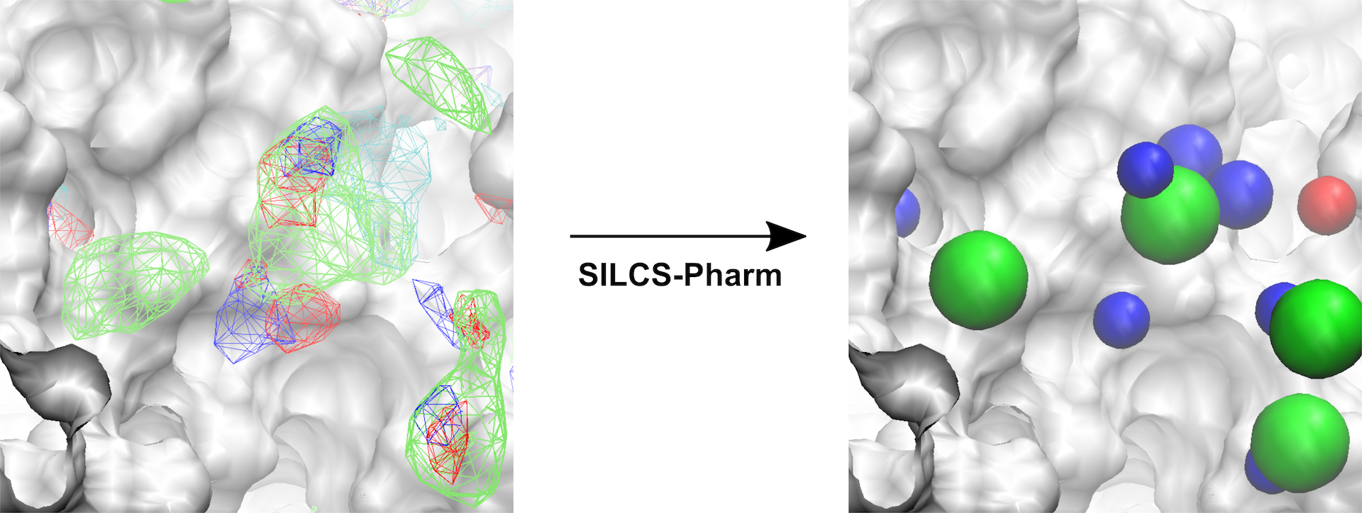 ../_images/silcs_pharm_features.png